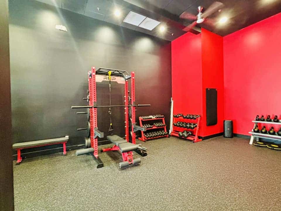 484125567_1067765255396181_1927184282634358956_n Infinite Fitness Steiner Ranch